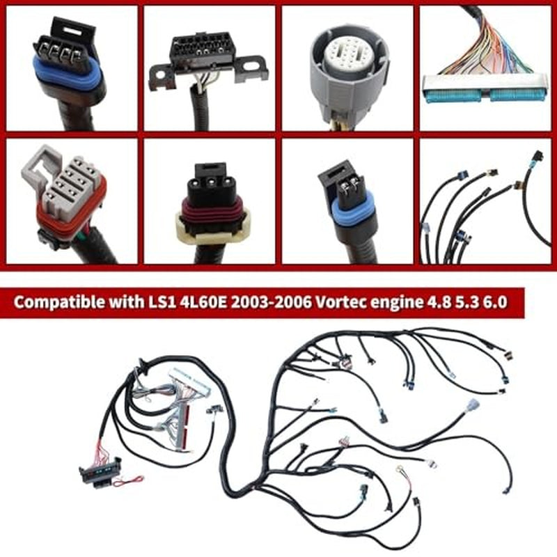 LS Standalone Wiring Harness for LS Swaps Engine DBC 4.8 5.3 6.0 1997-2006 LS1