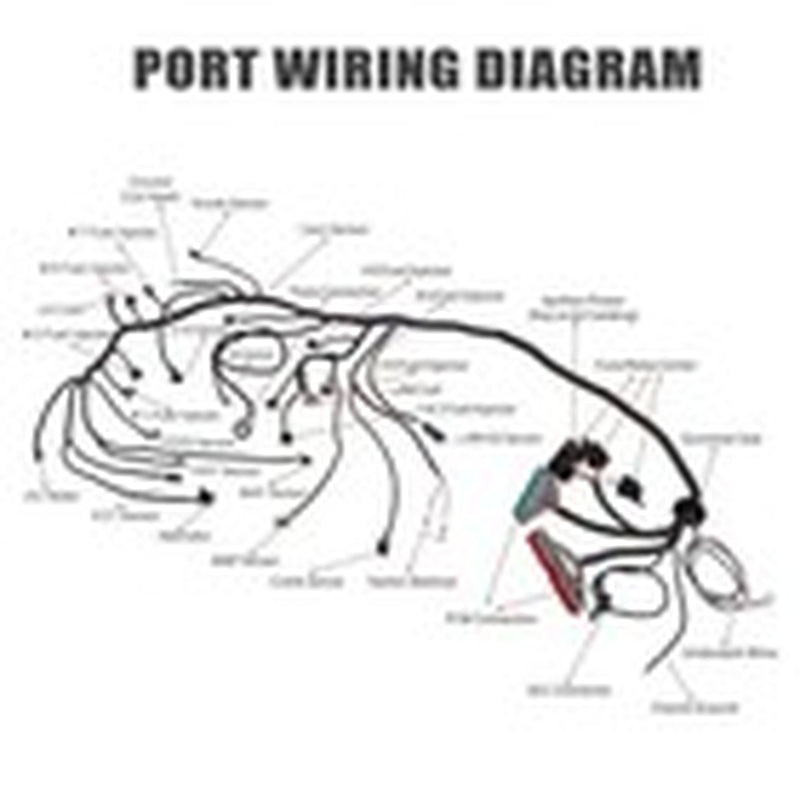 LS Standalone Wiring Harness for LS Swaps Engine DBC 4.8 5.3 6.0 1997-2006 LS1