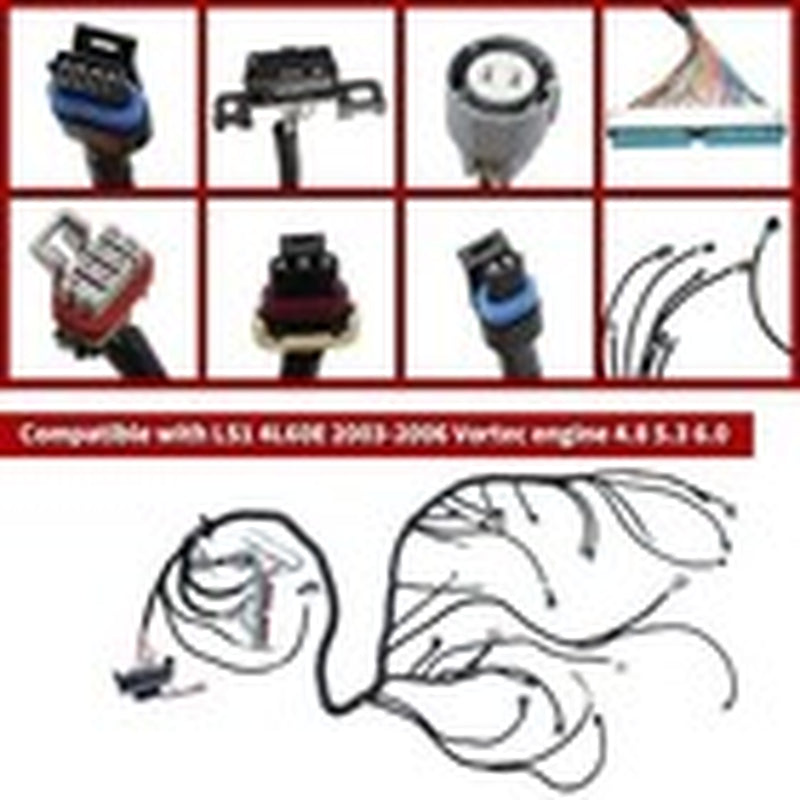 LS Standalone Wiring Harness for LS Swaps Engine DBC 4.8 5.3 6.0 1997-2006 LS1