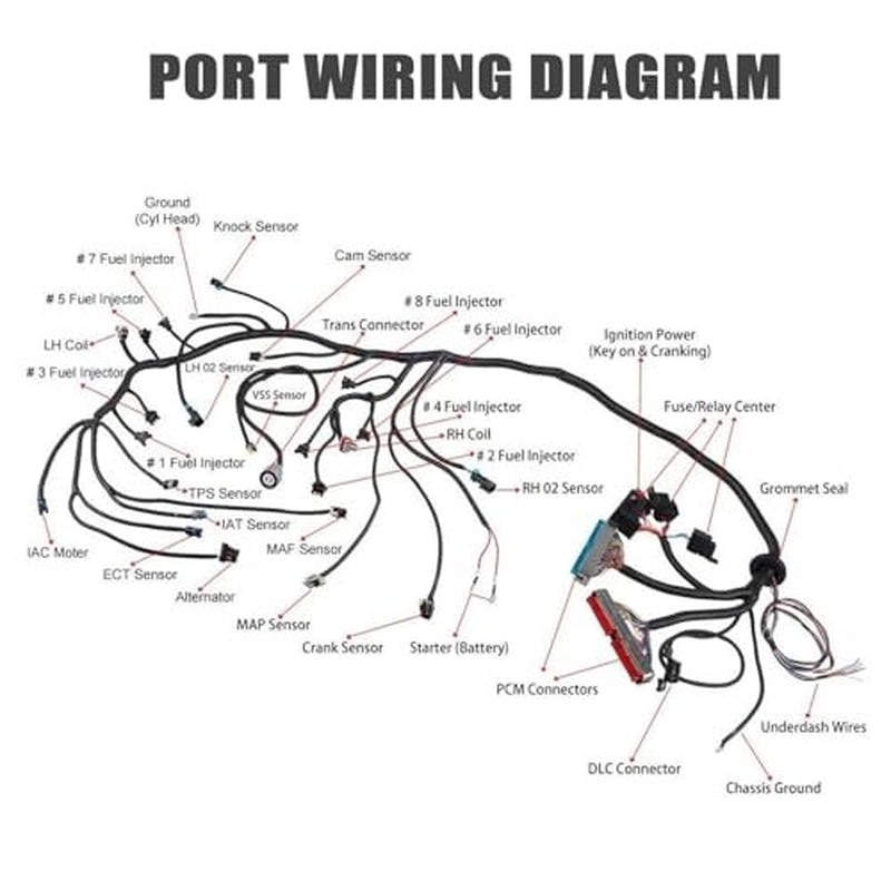 LS Standalone Wiring Harness for LS Swaps Engine DBC 4.8 5.3 6.0 1997-2006 LS1