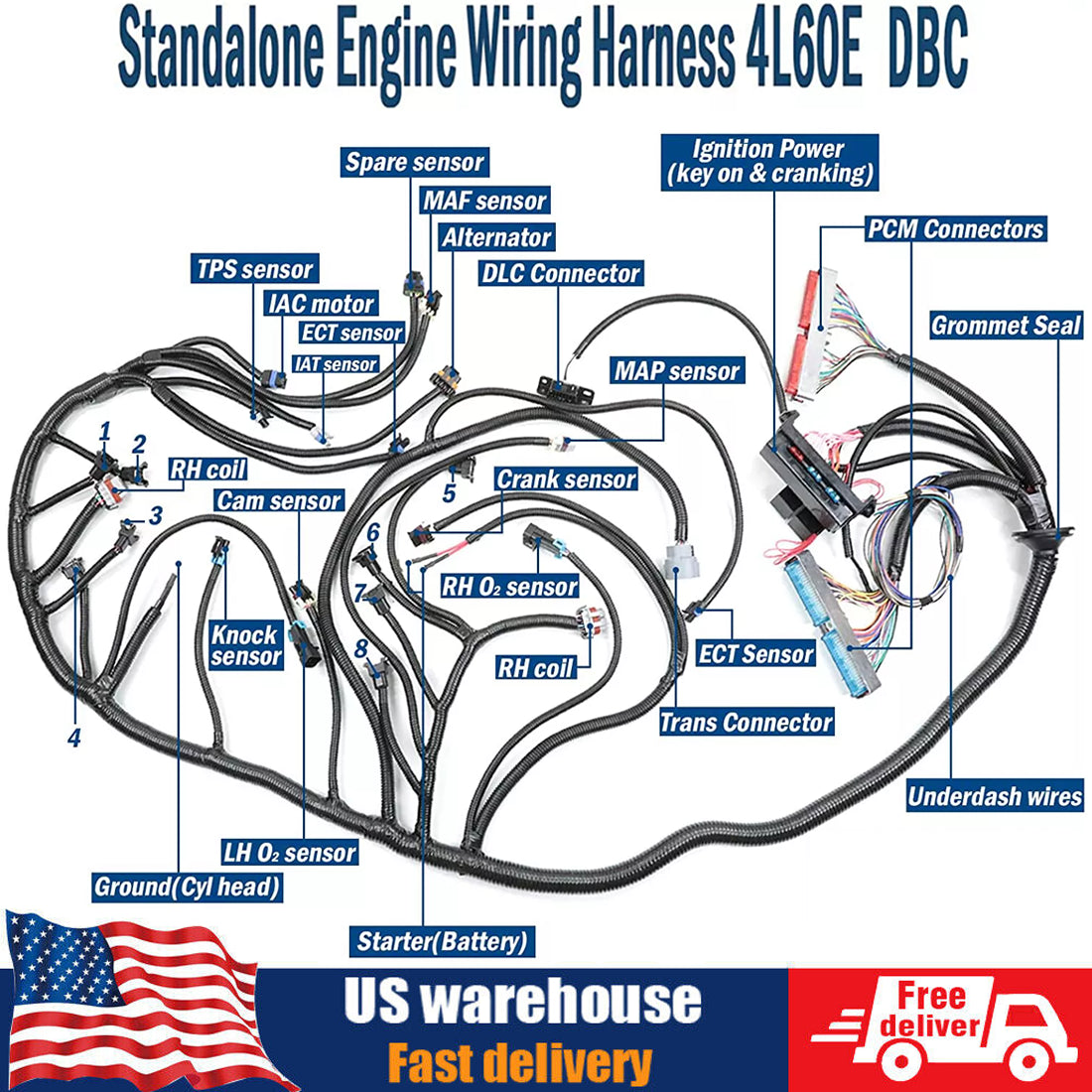 LS1 4L60E Stand Alone Harness for LS SWAP 4.8 5.3 6.0 97-06 Drive by Cable DBC