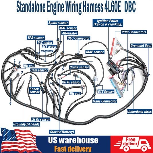 LS1 4L60E Stand Alone Harness for LS SWAP 4.8 5.3 6.0 97-06 Drive by Cable DBC