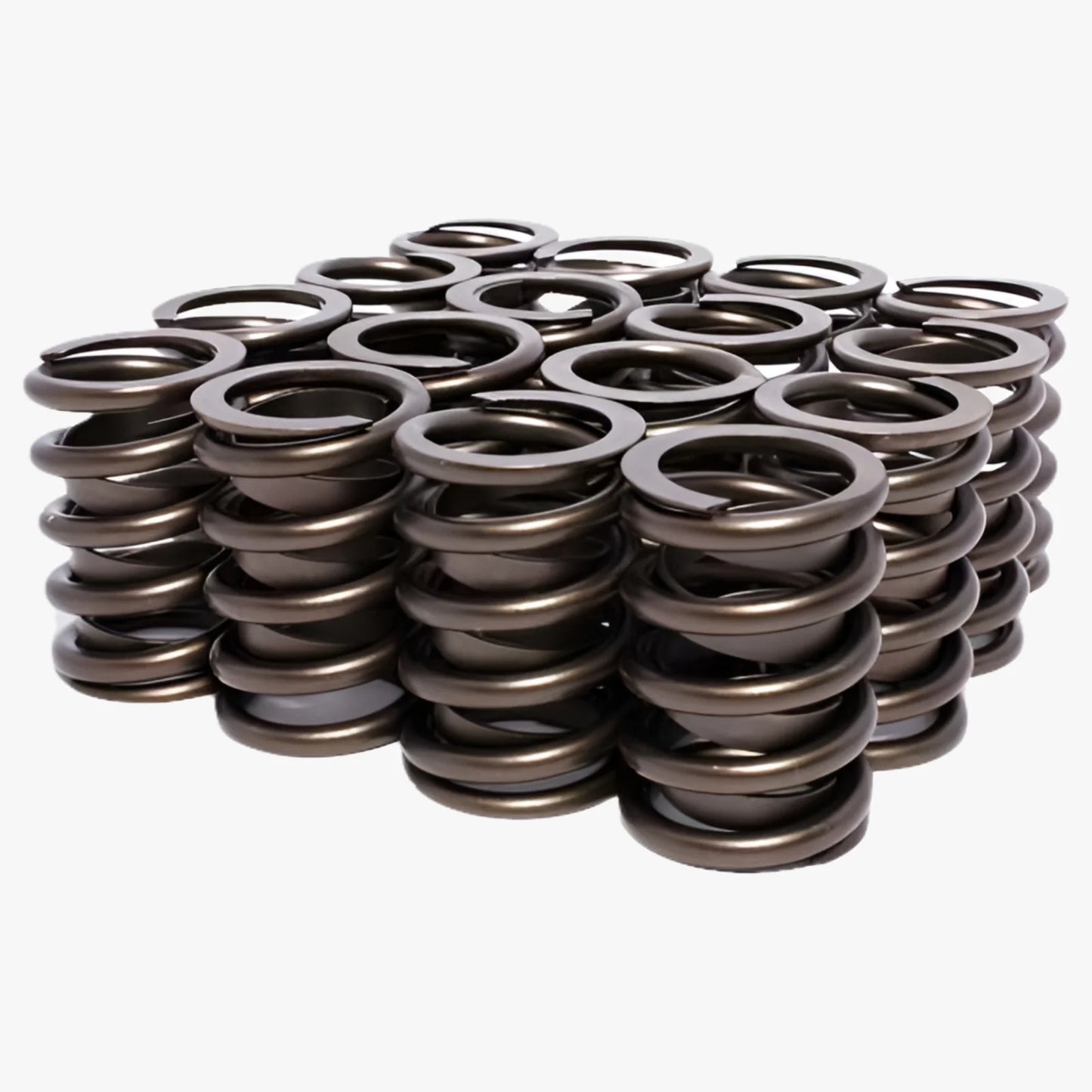 Valve Springs Outer W/Damper