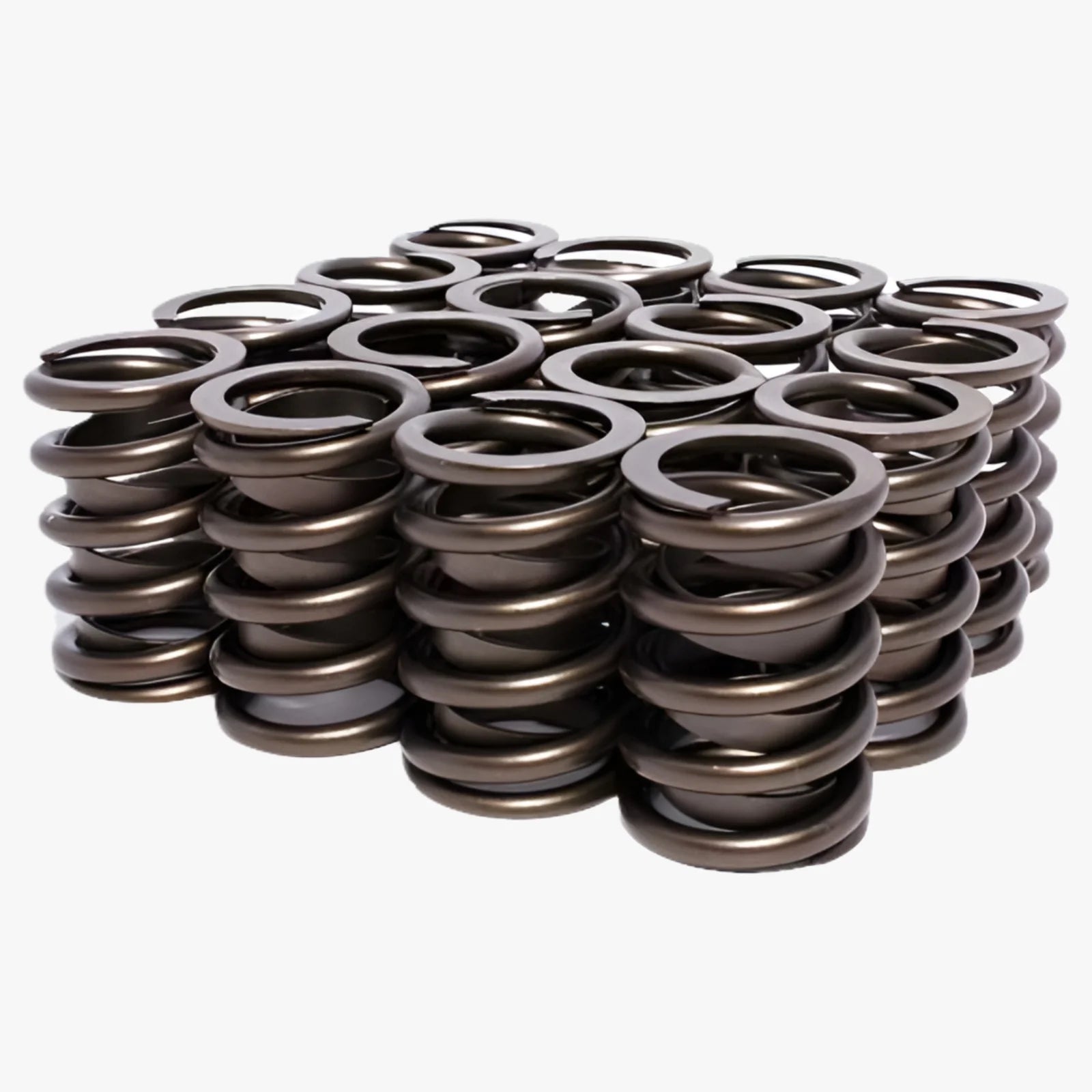 Valve Springs Outer W/Damper