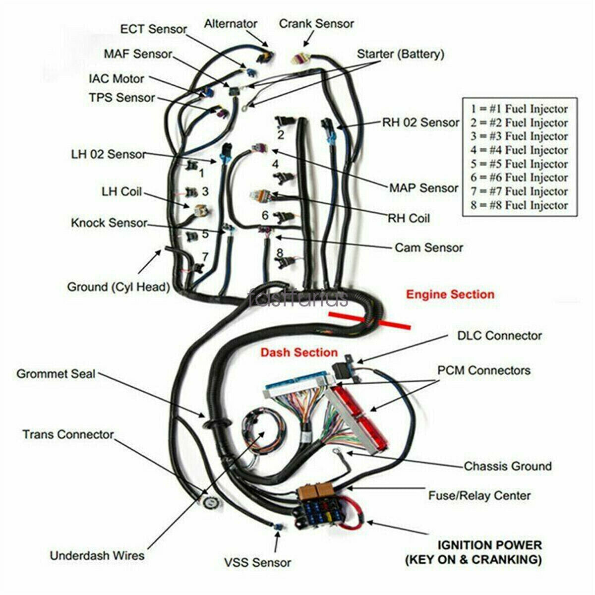 Stand Alone Harness 4L60E for Drive by Cable DBC 1997-06 LS1 LS SWAP 4.8 5.3 6.0