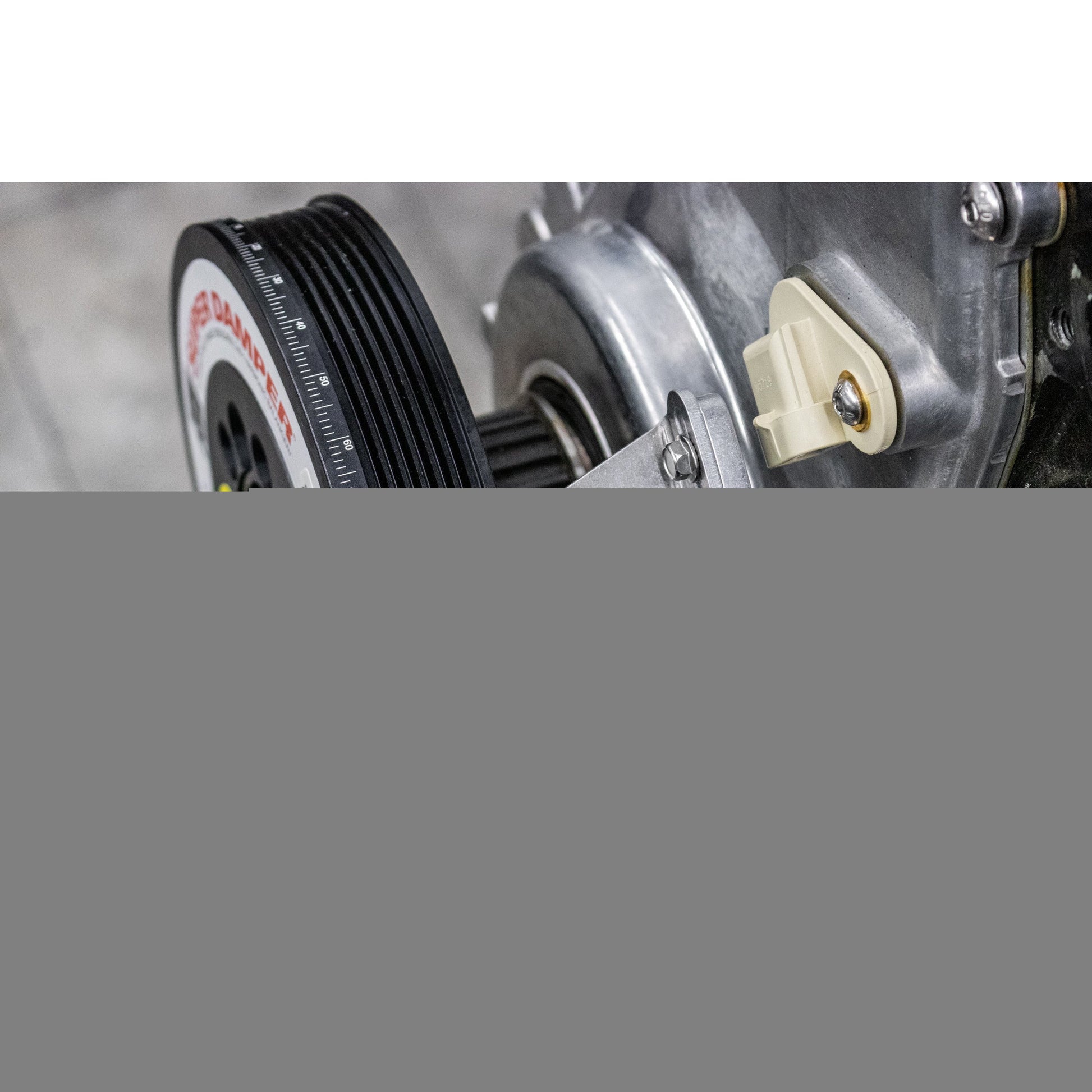 LS Adjustable Timing Pointer Kit (F Body / GTO Spacing) 10-11003