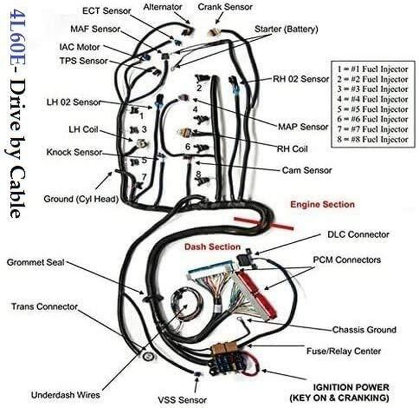 LS1-4L60E Wiring Harness Stand Alone for 1999-2006 LS SWAPS DBC 4.8 5.3 6.0