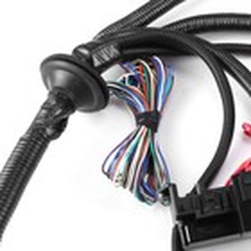 LS1 4L60E Stand Alone Harness for LS SWAP 4.8 5.3 6.0 97-06 Drive by Cable DBC