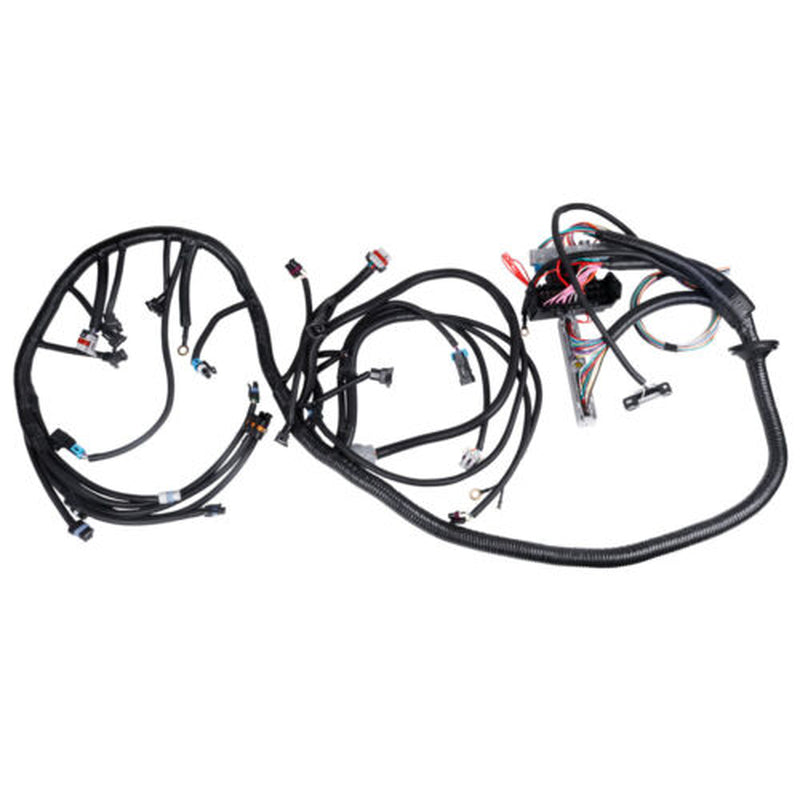 Stand Alone Harness 4L60E for Drive by Cable DBC 1997-06 LS1 LS SWAP 4.8 5.3 6.0